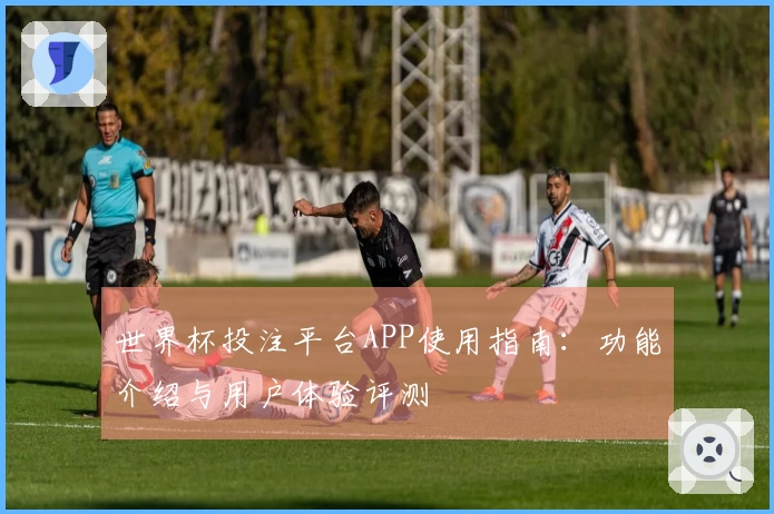 世界杯投注平台APP使用指南：功能介绍与用户体验评测