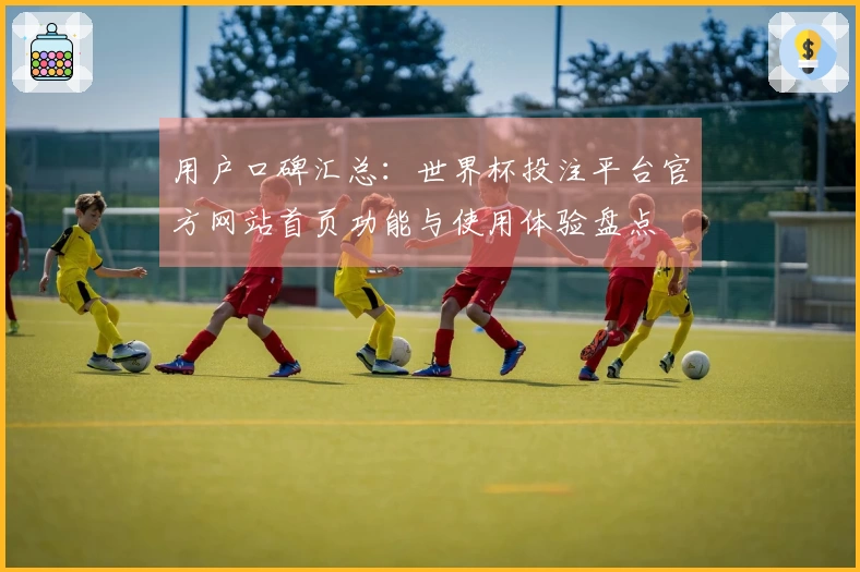 用户口碑汇总：世界杯投注平台官方网站首页功能与使用体验盘点
