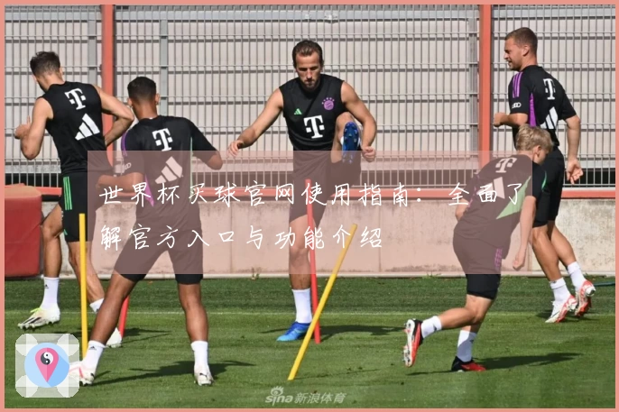 世界杯买球官网使用指南：全面了解官方入口与功能介绍